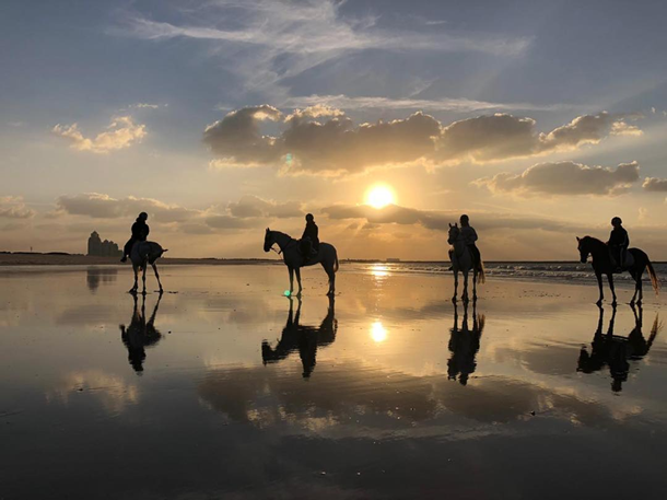 horse camel ride desert dubai