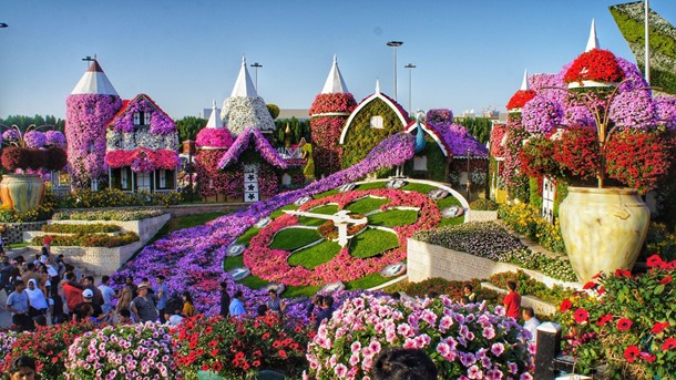 miracle garden dubai