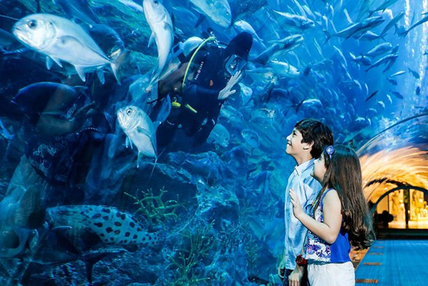 aquarium dubai travel