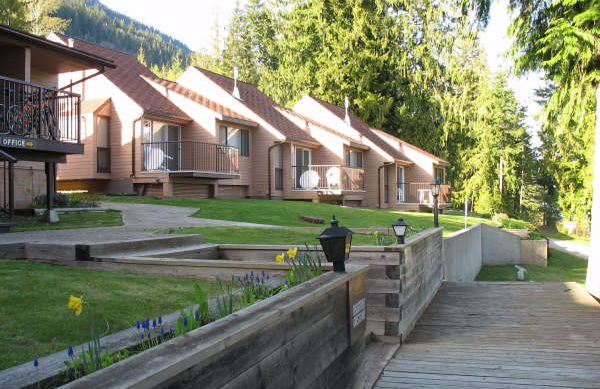 صورة البطاقة