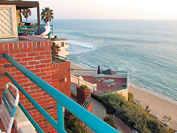 Laguna surf on sale