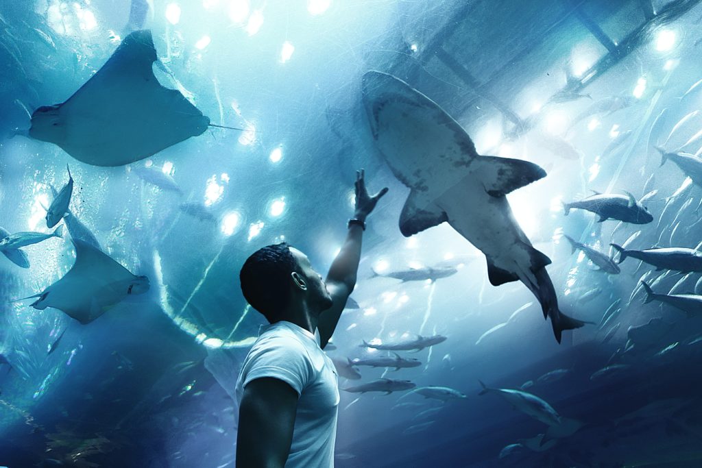 dubai underwater zoo