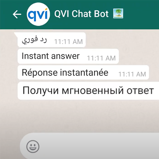 QVI Chat Bot